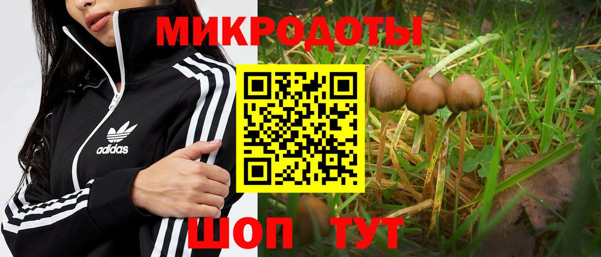 Галлюциногенные грибы Psilocybine cubensis  Вход с VPN  Алапаевск 